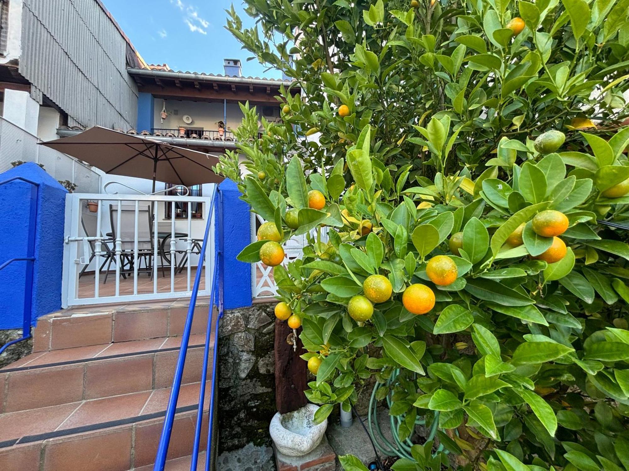 Alborada Apartamentos Rurales Hervás Εξωτερικό φωτογραφία